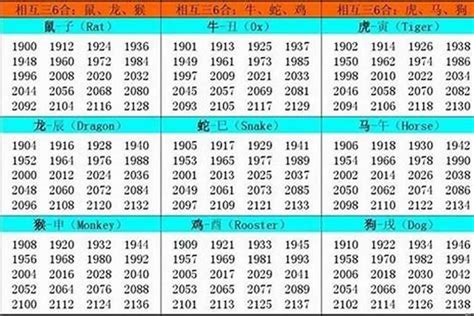 1969五行|1969年出生是什麼命？